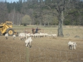 sam_0450